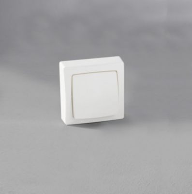 Interrupteur ou va-et-vient Legrand ALB2213WH blanc montage en saillie 10A 230 V