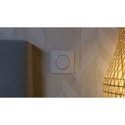 Interrupteur poussoir 10A à vis Schneider Electric Odace blanc