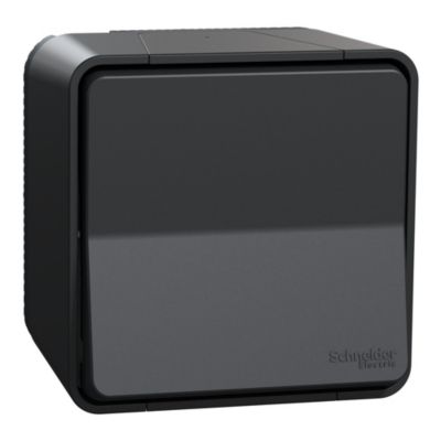 Interrupteur poussoir étanche complet saillie Schneider Electric Mureva Styl anthracite