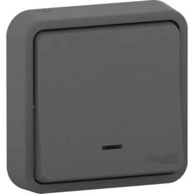Interrupteur poussoir lumineux étanche complet encastré Schneider Electric Mureva Styl anthracite
