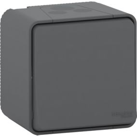 Interrupteur va-et-vient étanche complet saillie Schneider Electric Mureva Styl anthracite