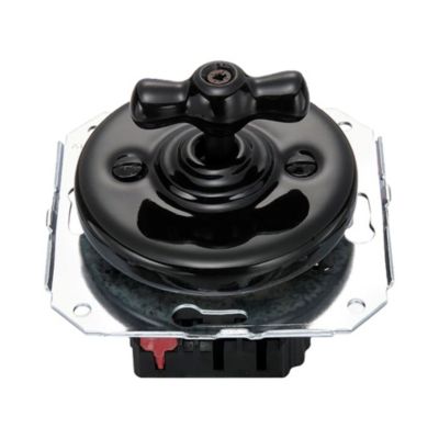 Interrupteur va-et-vient Fontini Garby Porcelaine noire, manette noire