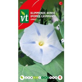 Ipomee Grimpante Caprice - Ca. 0,75 gr
