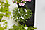 Jardin vertical Verve 7 poches 30 x 116 cm