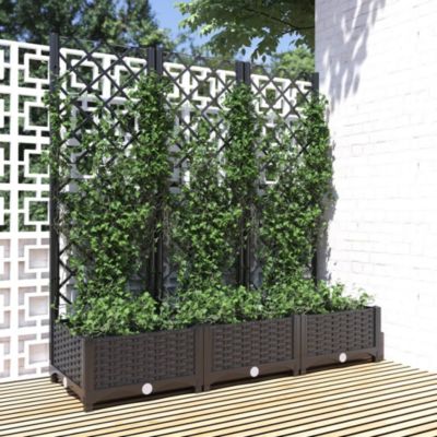 Jardinière avec treillis,Pot de fleur,Bac à fleurs Noir 120 x 40 x 121,5 cm PP