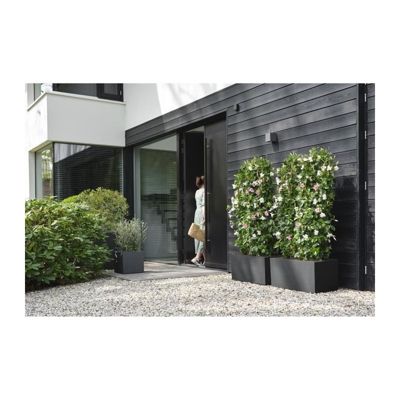 Jardinière carré en plastique 40 x 40 cm Elho Vivo Next Square noir