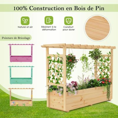 Jardinière Surélevée avec Treillis en Bois Massif,Toit Suspendu pour Vigne,Pour Légumes,Fleurs,Extérieur Intérieur