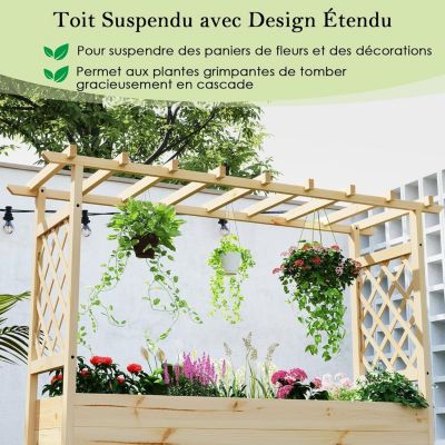 Jardinière Surélevée avec Treillis en Bois Massif,Toit Suspendu pour Vigne,Pour Légumes,Fleurs,Extérieur Intérieur
