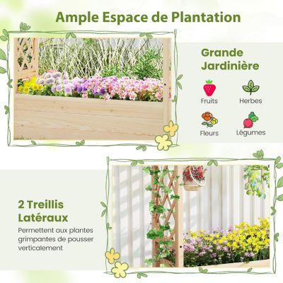 Jardinière Surélevée avec Treillis en Bois Massif, Toit Suspendu pour Vigne, Trou de Drainage pour Fruits, Fleurs (115x40x103cm)