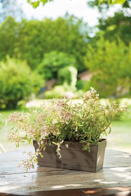 Jardinière à réserve d'eau Deroma Save R camel 28 x 11 x h.11 cm
