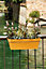 Jardinière à réserve d'eau plastique Deroma Like curry 49 x 28 x h.17 cm