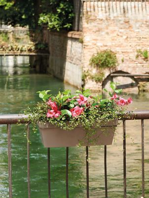 Jardinière à réserve d'eau plastique Deroma Like taupe 49 x 28 x h.17 cm