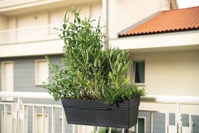 Jardinière à réserve d'eau + support Deroma Save R anthracite 49 x 29 x h.17.3cm