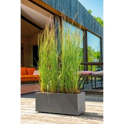 Jardinière muret plastique gris anthracite 59 x 25 cm avec réserve d'eau Deroma