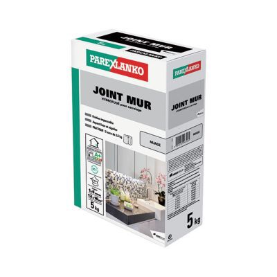 Joint mur hydrofugé Parexlanko nuage 5 kg