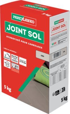 Joint sol hydrofugé gris Parexlanko 5 kg