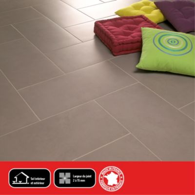 Joint sol hydrofugé gris Parexlanko 5 kg