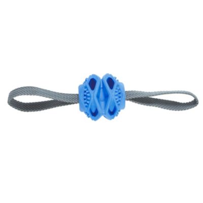 Jouet Balle TPR cache friandises Bleu D 7.8 par 31.5 cm pour chien