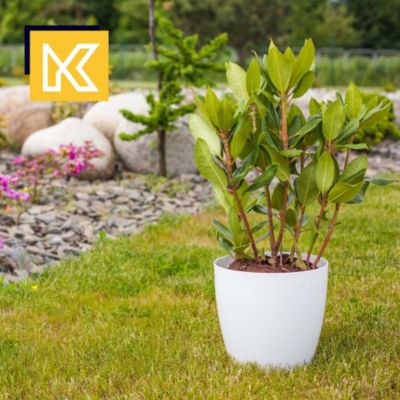 KADAX 3x Pot de fleurs 18cm Couvercle avec support Blanc