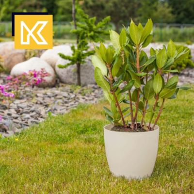 KADAX 3x Pot de fleurs 23cm Couvercle avec support Crème