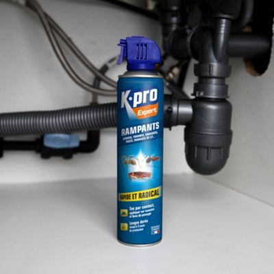 Kapo insectes rampants Kapo Expert rapide et radical 400ml