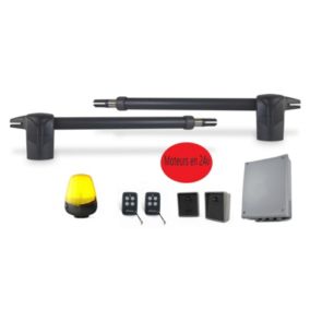 KIT - Automatisme de portail a battants - moteur 24V - SANS batteries - systeme a verins - 250Kg - MYASTER 4.24 by PROTECO - 1319