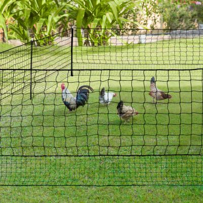 Kit clôture filet à poules 12 M avec porte 6 piquets double pointe