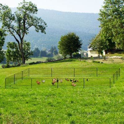 Kit clôture filet à poules 50 M avec porte 15 piquets double pointe