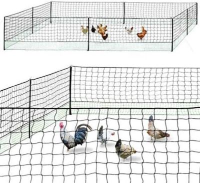 Kit cloture filet a poules 24 M avec porte et 9 piquets double pointe