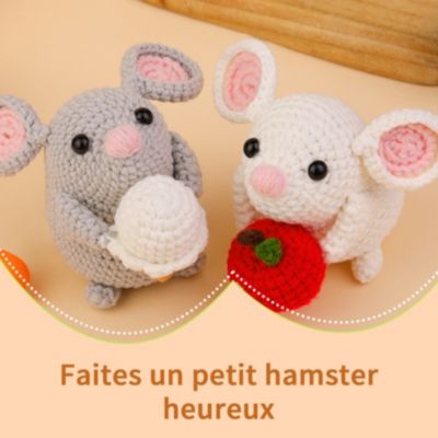 Kit Crochet DIY Deux Souris Amigurumi, Kit Complet Pour Débutant, Fils ...