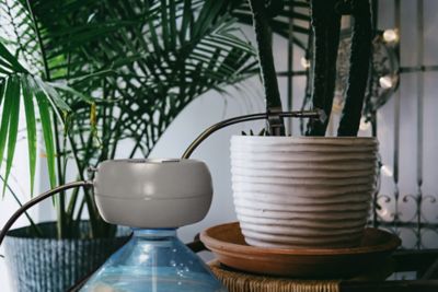 Milisten Arroseur Automatique Pour Plantes Avec Pot Eau Et