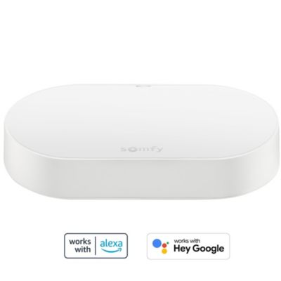 Kit de connectivité - Somfy - Compatible moteurs io & RTS - Contrôle à la voix et à distance - Jusqu'à 20 équipements