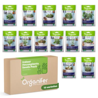 Kit de Graines de Plantes d'Intérieur - 13 variétés - Organifer