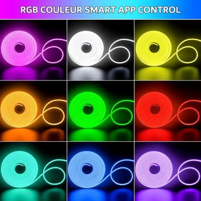 Kit de Néon flexible LED RGB 5m, DC 12V, APP/Télécommande, Plusieurs modes, IP65 étanche