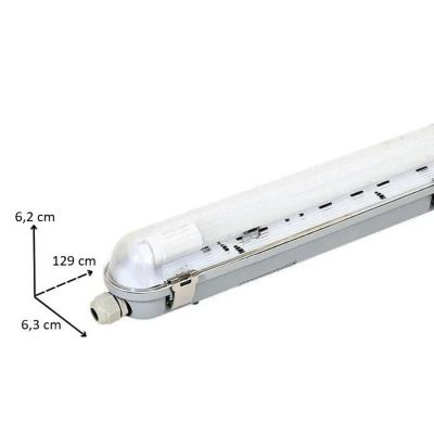 Kit de Réglette LED IP65 + Tube Néon LED 120cm T8 18W - Blanc Chaud 2300K - 3500K - SILAMP