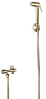 Kit hygiène WC avec douchette 2 jets + flexible + support mural + robinet alimentation, doré brossé, MTK Harmonie