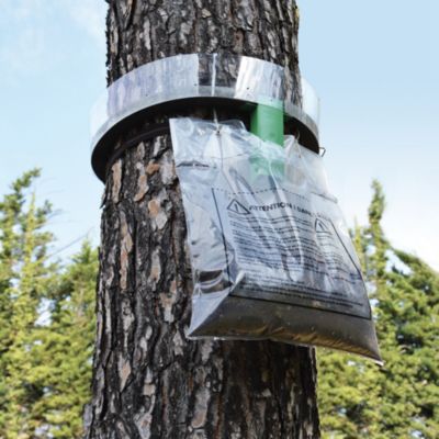 Kit piège à chenilles processionnaires du pin Ø35 cm Protecta