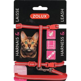 Kit sellerie pour chat rouge