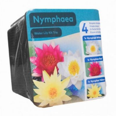 Kit Trio de nénuphars - plante aquatique pour bassin - Moerings