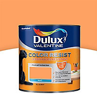 La peinture murs et boiseries Dulux Valentine Color resist orange corail austral aspect mat de 1L