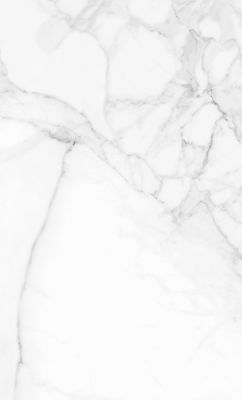 Lambris PVC Carrara Gloss marbre blanc (vendu à la botte)