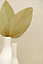Lambris PVC Travertino beige 37,5 x 260 cm