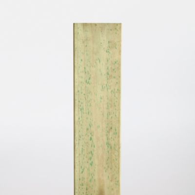 Lame de clôture bois L.120 x H.9 cm x ép.21 mm, Blooma Lemhi