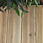 Lame de terrasse pin vert L.240 x l.12 cm