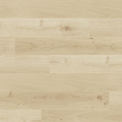 Lame PVC clipsable Baila décor chêne clair L. 122 x l. 15 cm GoodHome