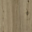 Lame PVC clipsable Tarkett Starfloor Click Oak gris clair 22 x 122 cm (vendue au carton)