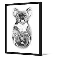 Laminage Koala 65 x 92,5 cm
