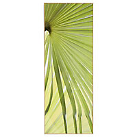Laminage palmier 30 x 80 cm