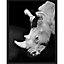 Laminage Rhinoceros 50 x 40 cm