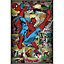 Laminage Spiderman 61 x 91 cm